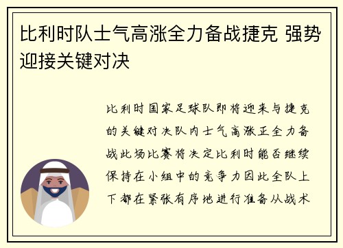 比利时队士气高涨全力备战捷克 强势迎接关键对决