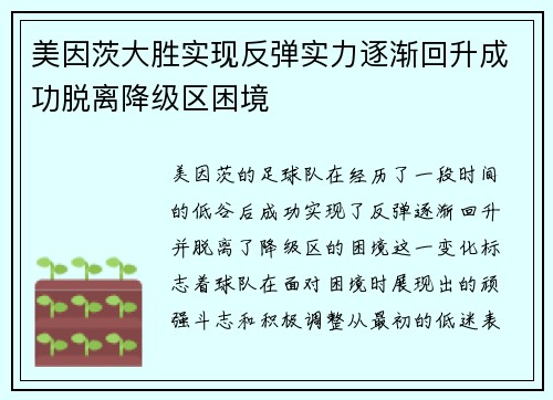 美因茨大胜实现反弹实力逐渐回升成功脱离降级区困境