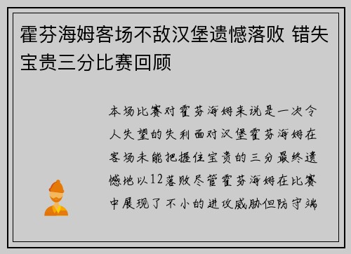 霍芬海姆客场不敌汉堡遗憾落败 错失宝贵三分比赛回顾