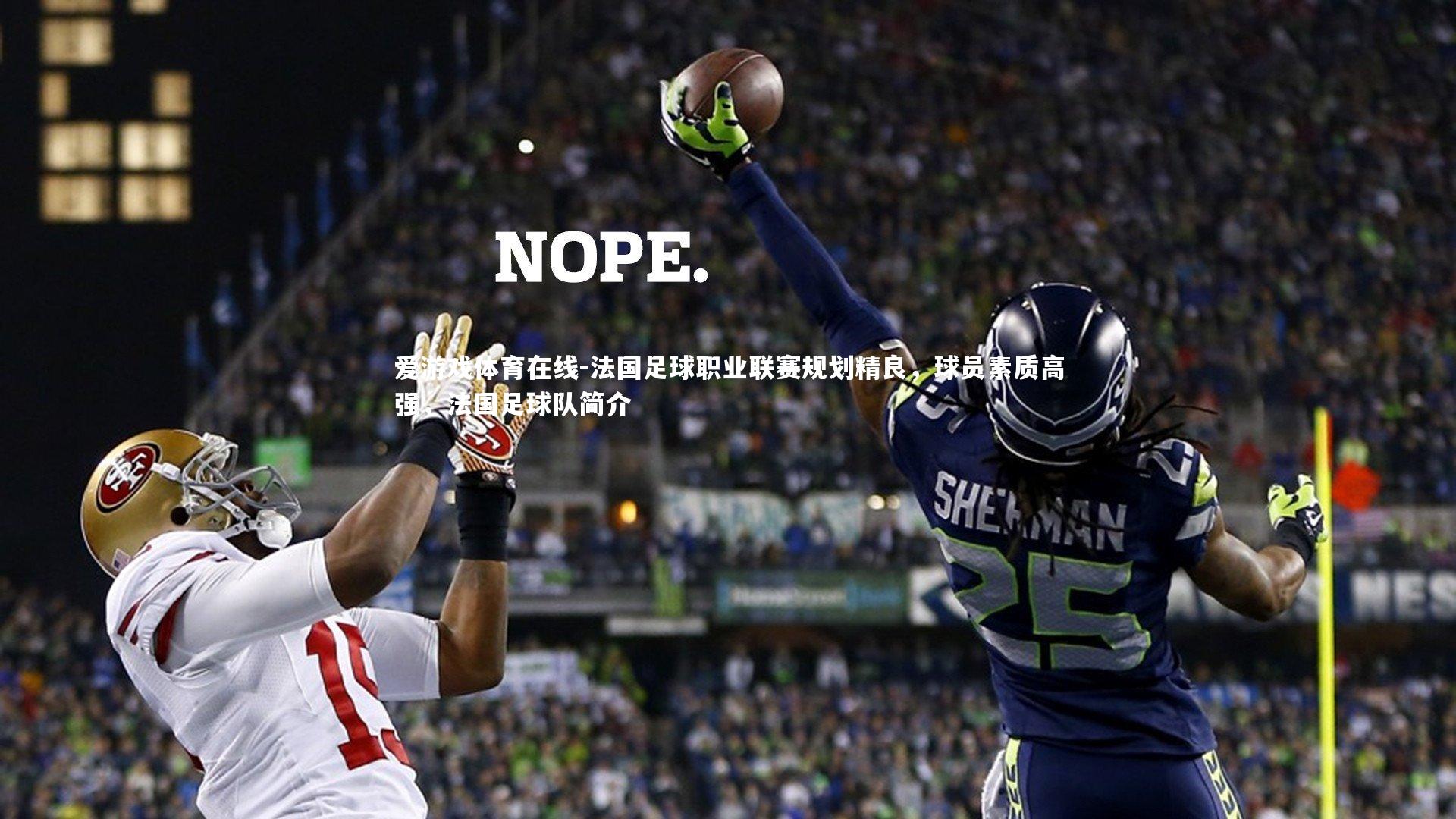 爱游戏体育在线-法国足球职业联赛规划精良，球员素质高强，法国足球队简介