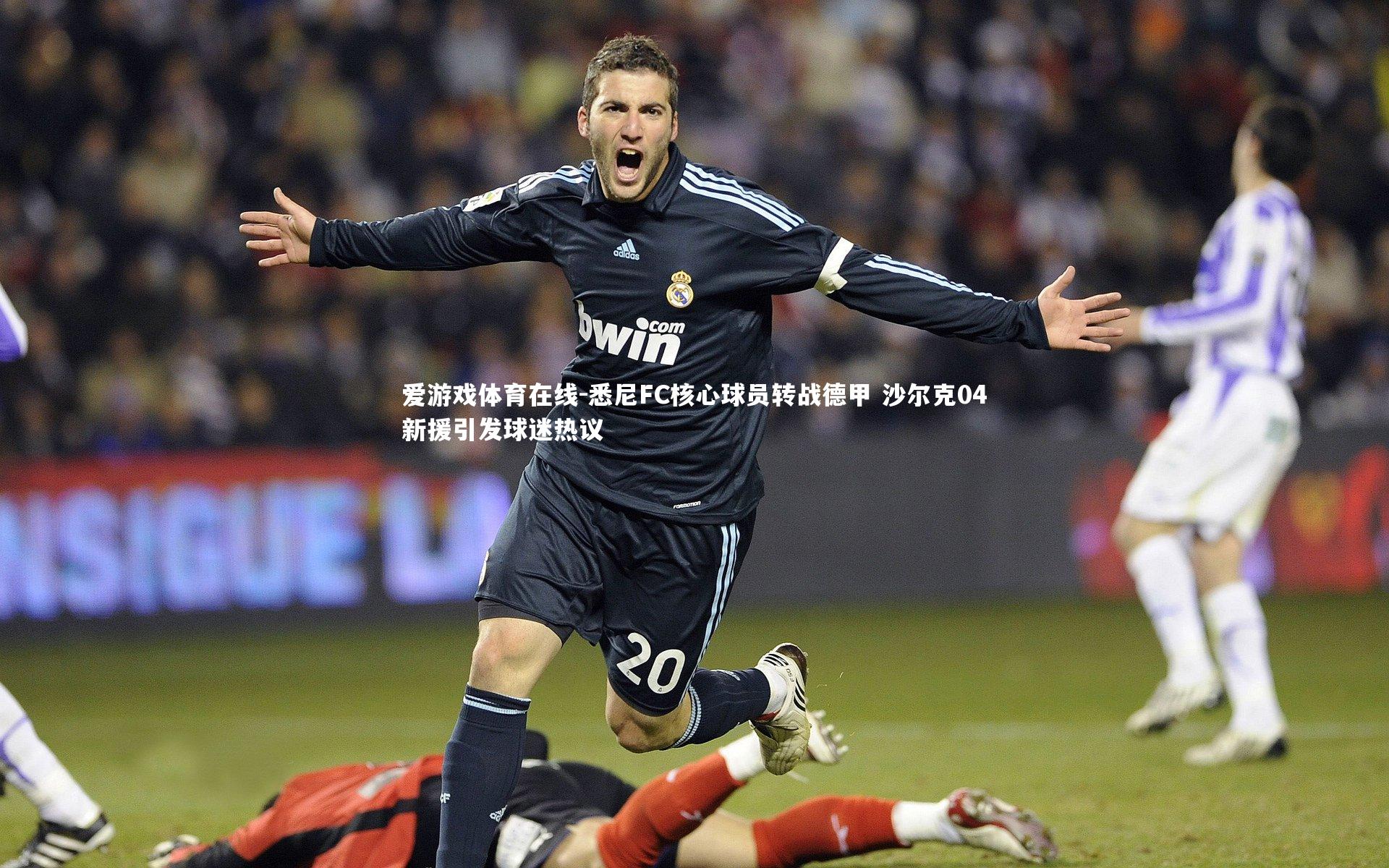 爱游戏体育在线-悉尼FC核心球员转战德甲 沙尔克04新援引发球迷热议
